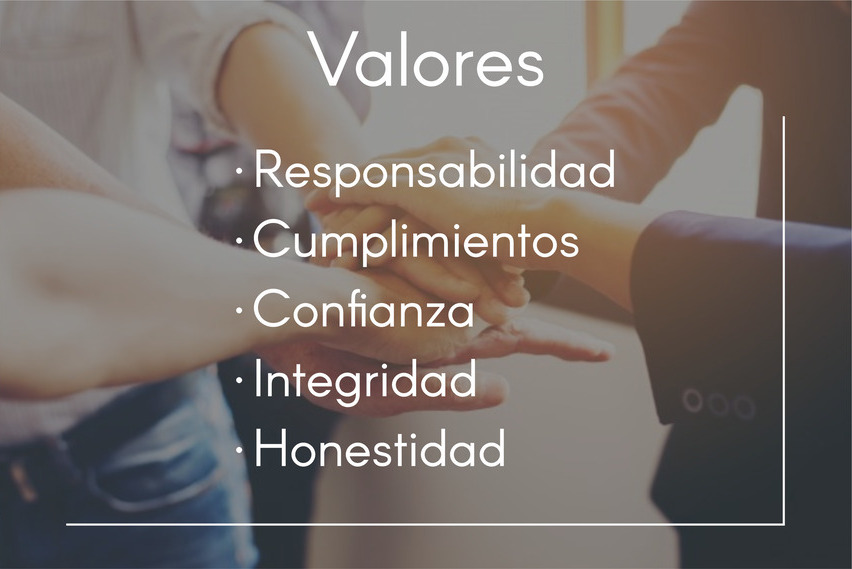 Valores y equipo profesional